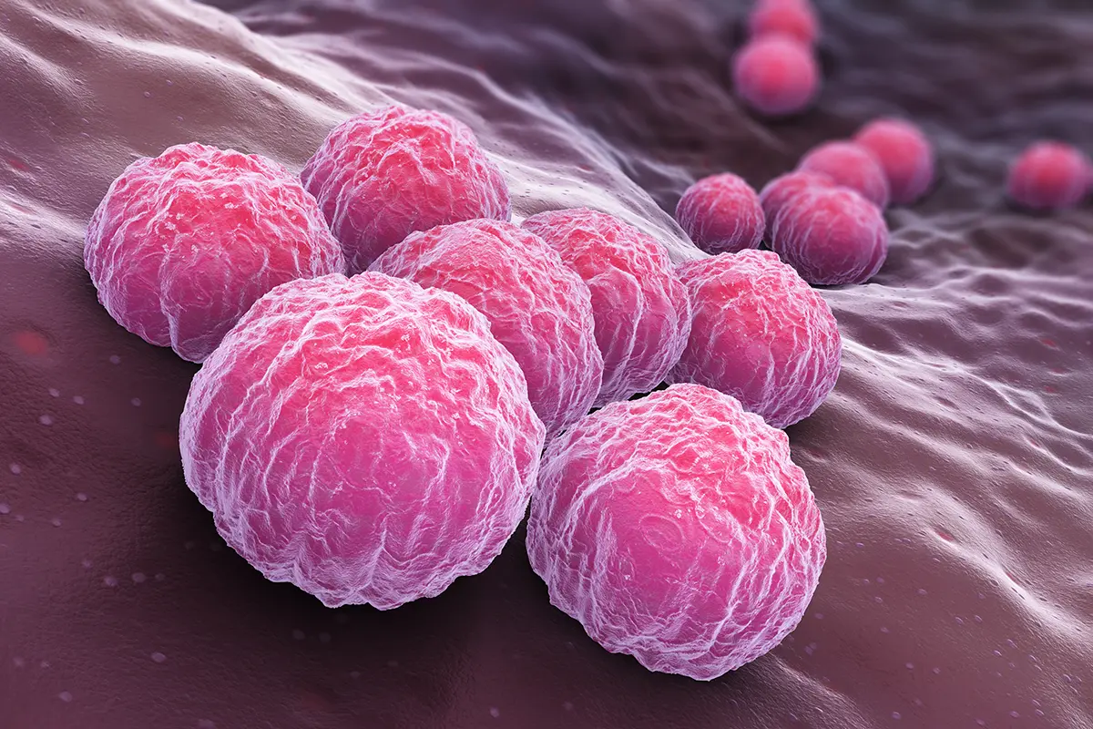 ETS bacterianas